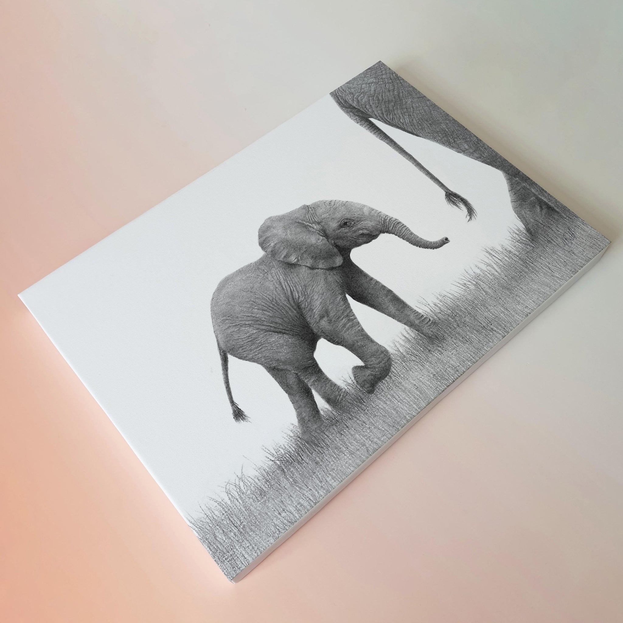 Baby elephant stretched canvas artwork