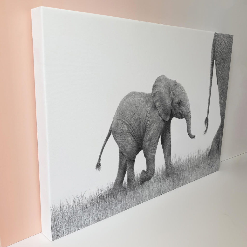 Baby elephant stretched canvas artwork