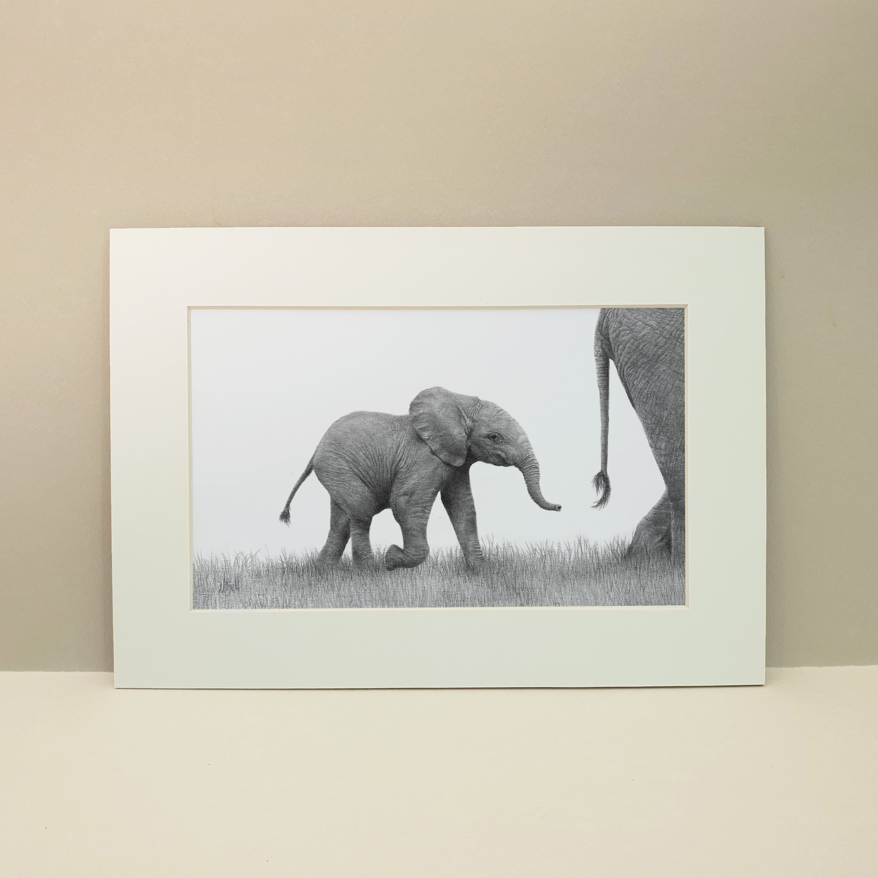 Baby elephant black and white graphite pencil drawing