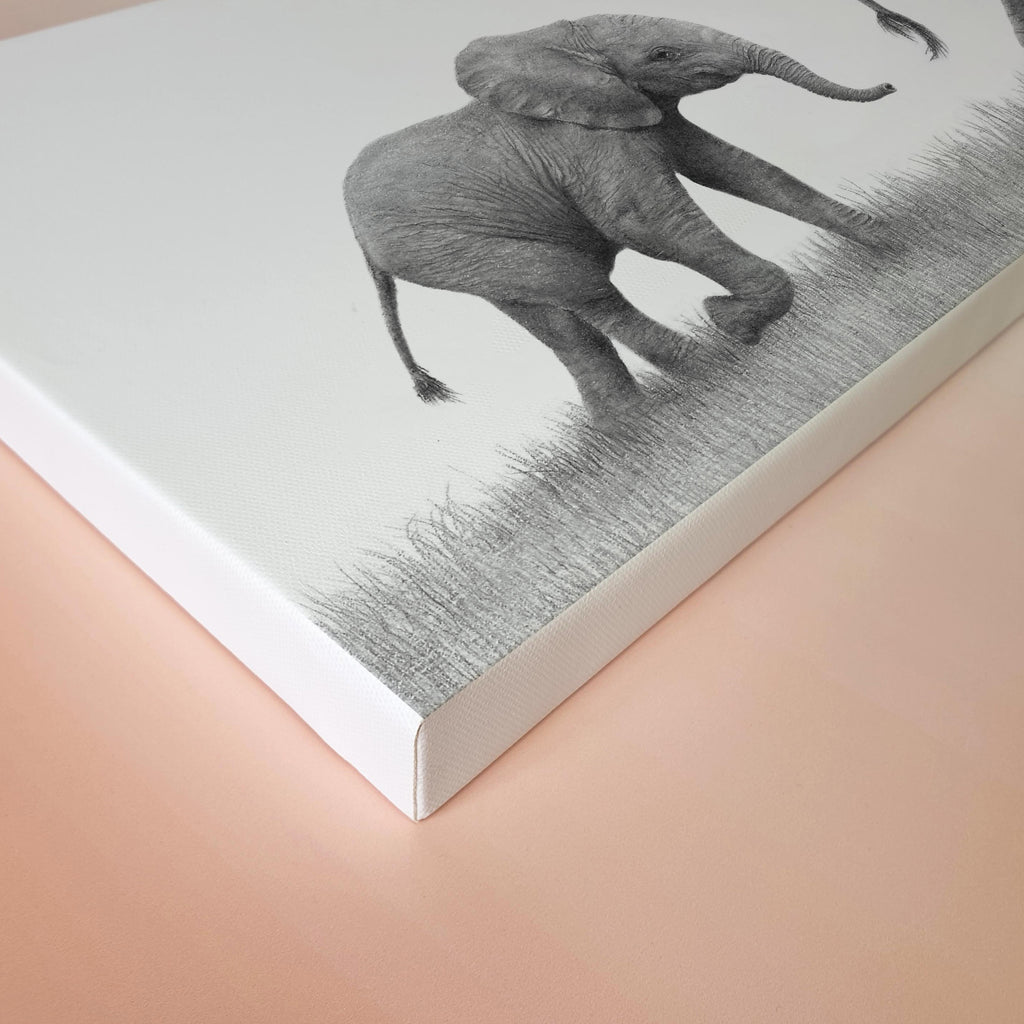 Baby elephant stretched canvas artwork