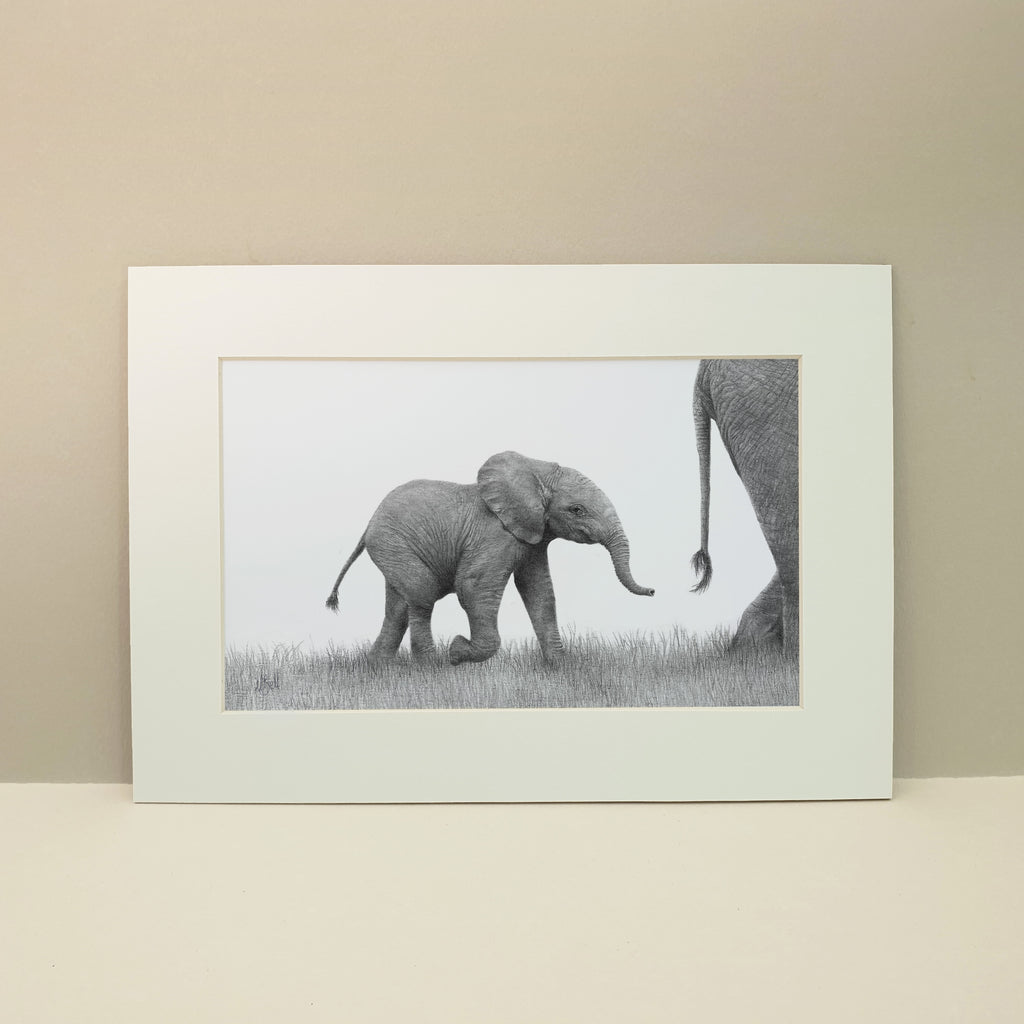 Baby elephant black and white graphite pencil drawing