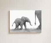 Elephant Baby drawing on canvas by South African wildlife artist Matthew Bell