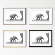 Elephant Calf - E14