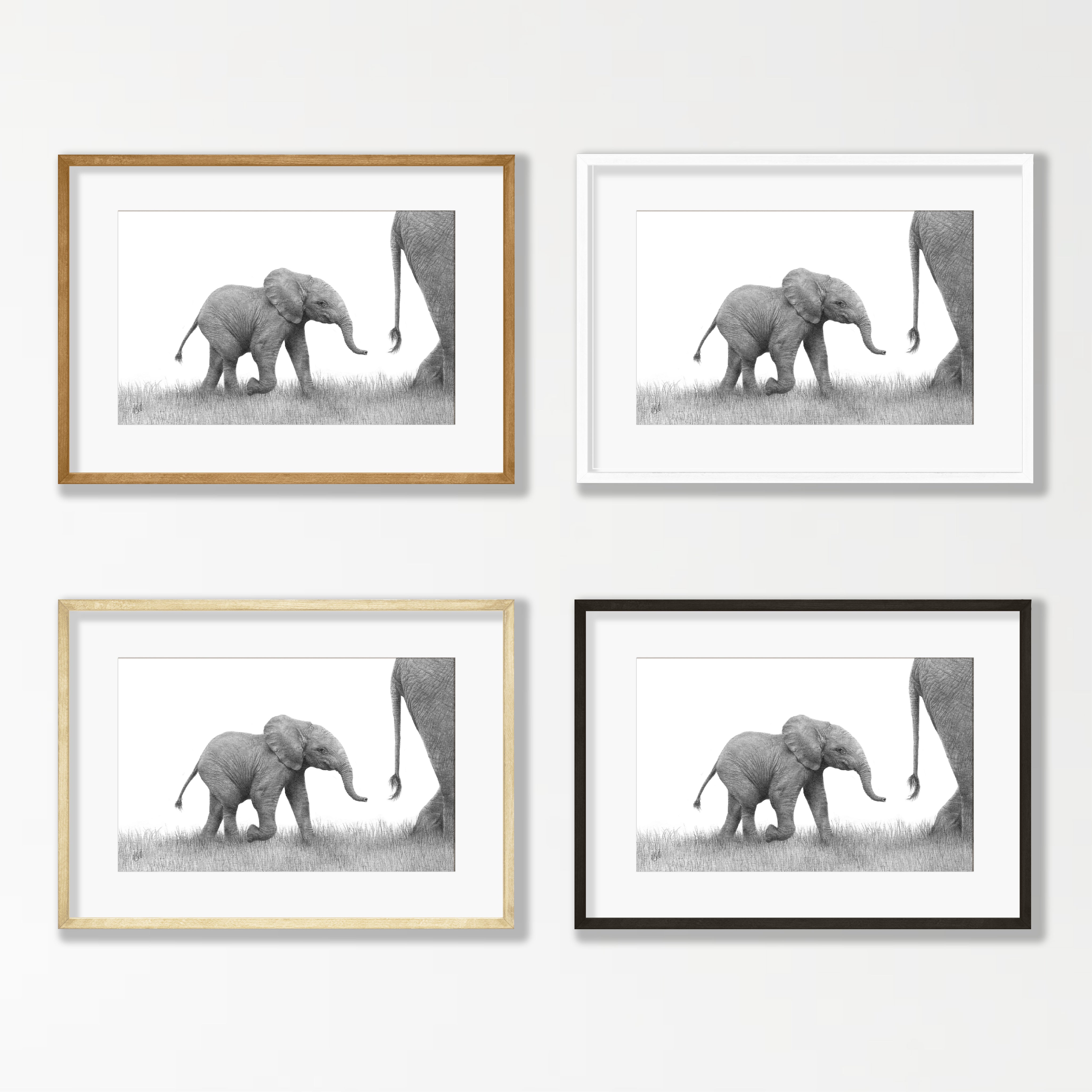 Elephant Calf - E14