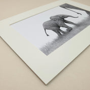 Baby elephant black and white graphite pencil drawing