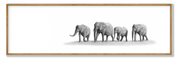 Elephant Family Panorama
