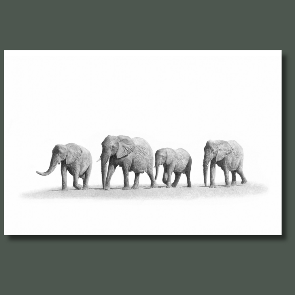 African elephant family canvas art print