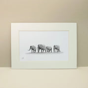 A family herd of elephants walking through the desert in Namibia