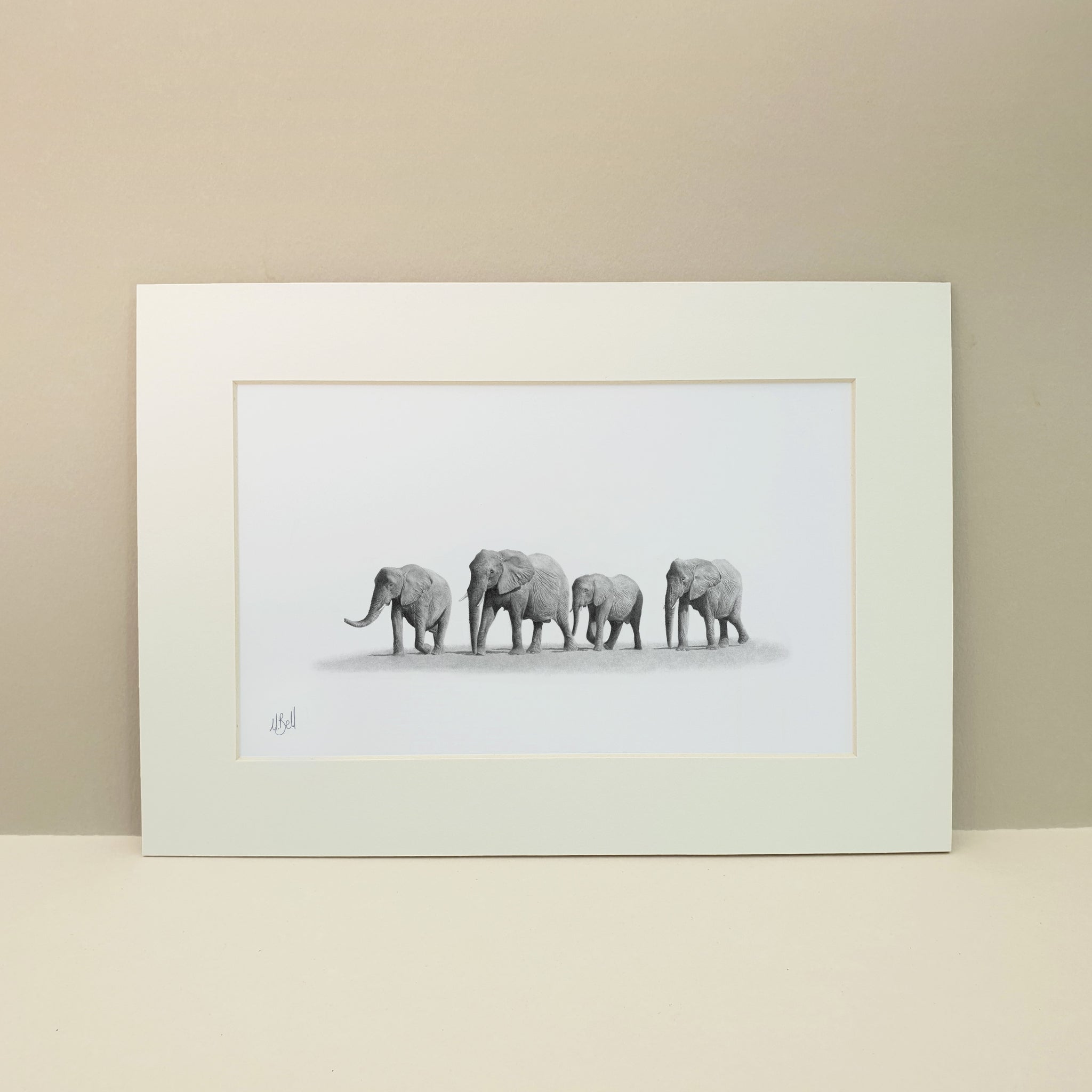 A family herd of elephants walking through the desert in Namibia