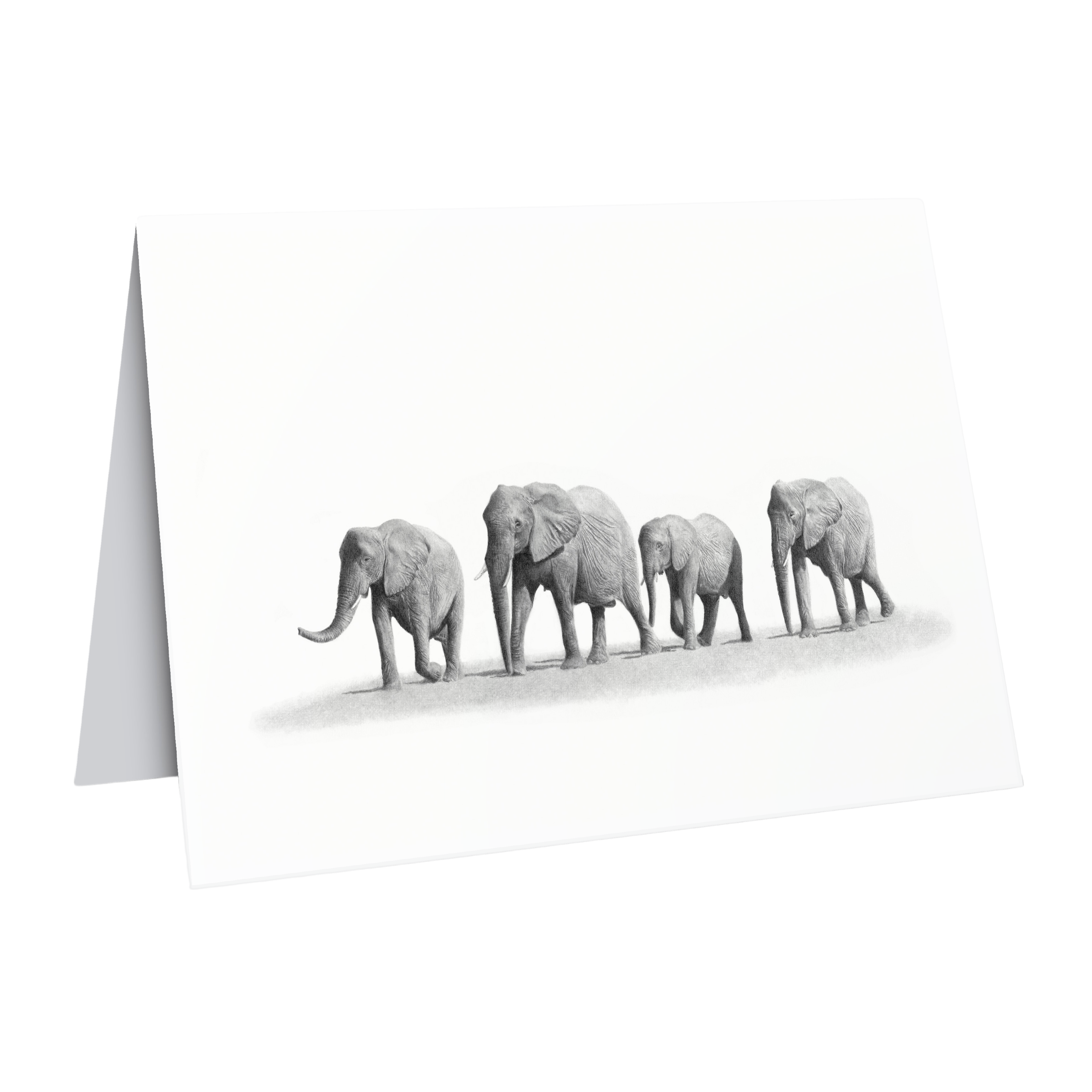 African elephants greeting card
