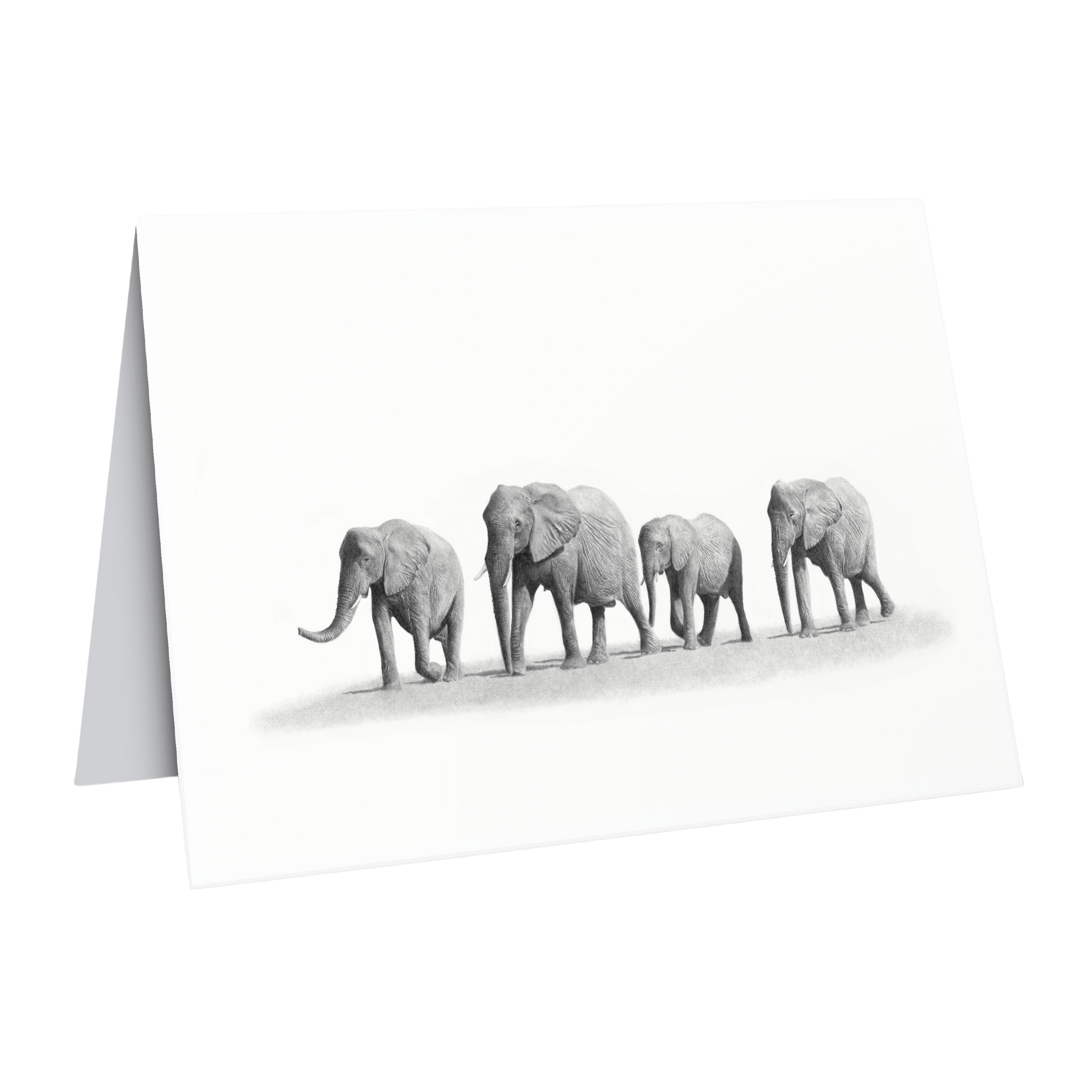 African elephants greeting card
