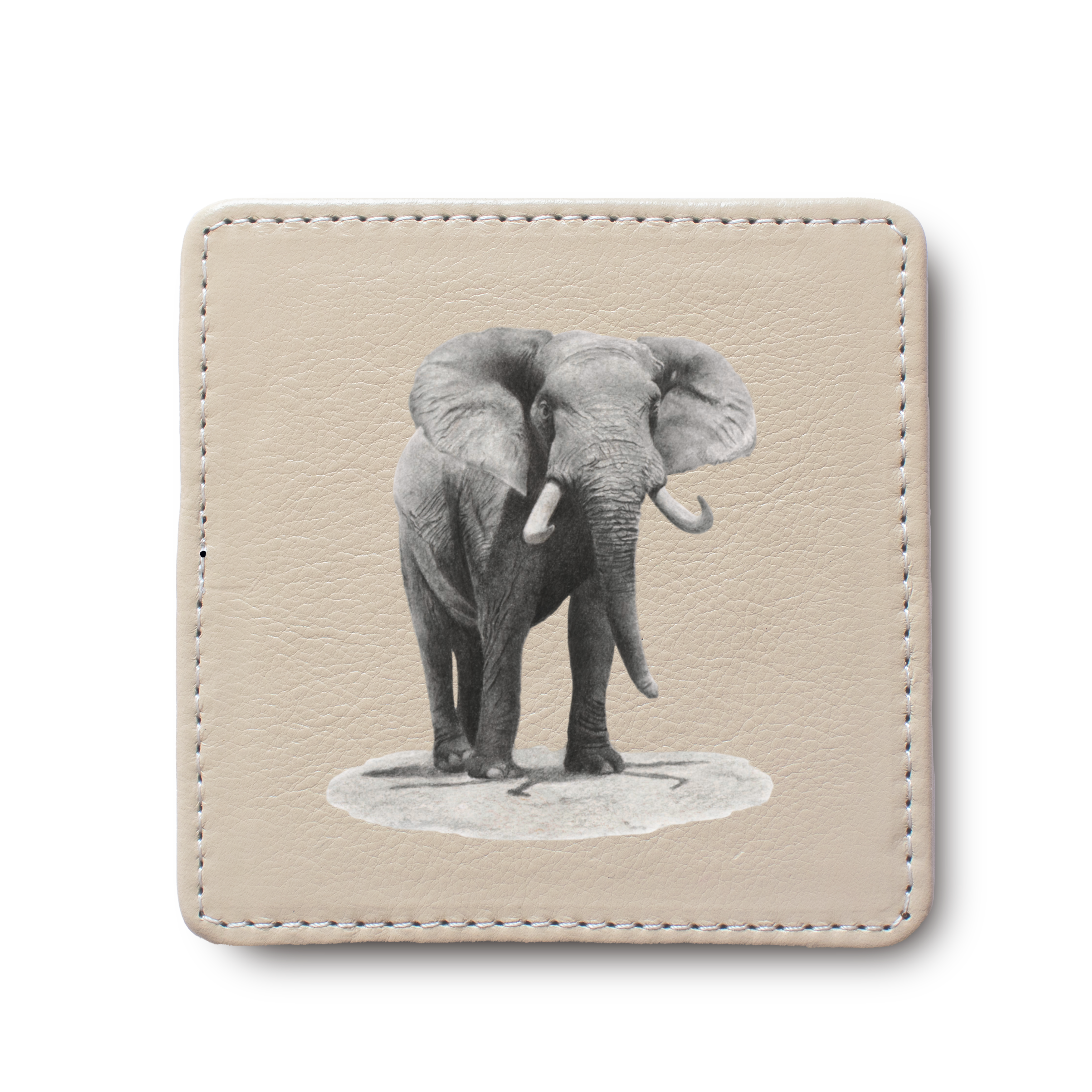Elephant Bull animal leather coaster by South African wildlife artist Matthew Bell