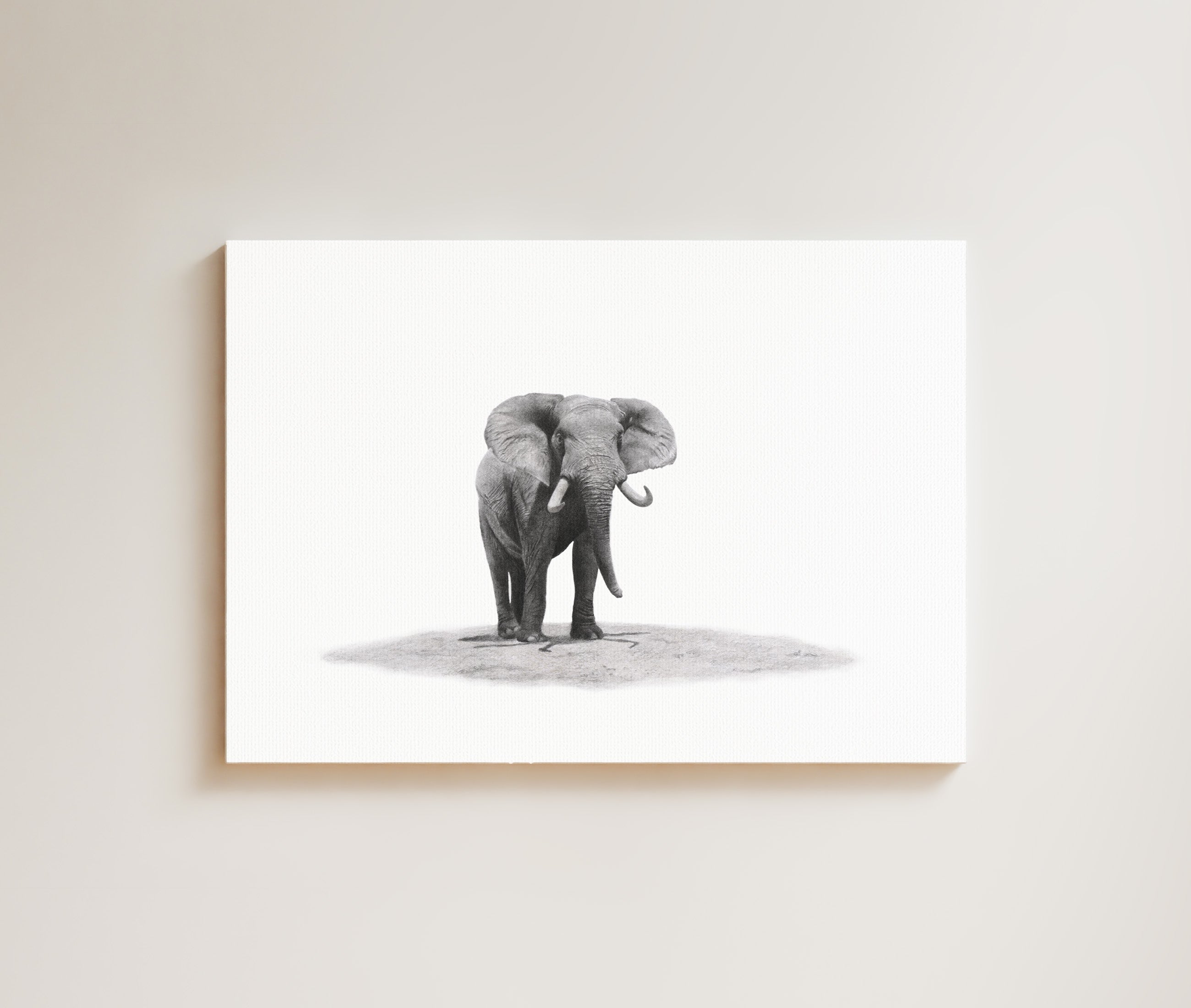 Elephant Bull drawing on canvas by South African wildlife artist Matthew Bell