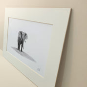 Bull African Elephant artwork in Pencil by Cape Town based artist Matthew Bell