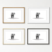 Elephant Bull - E16