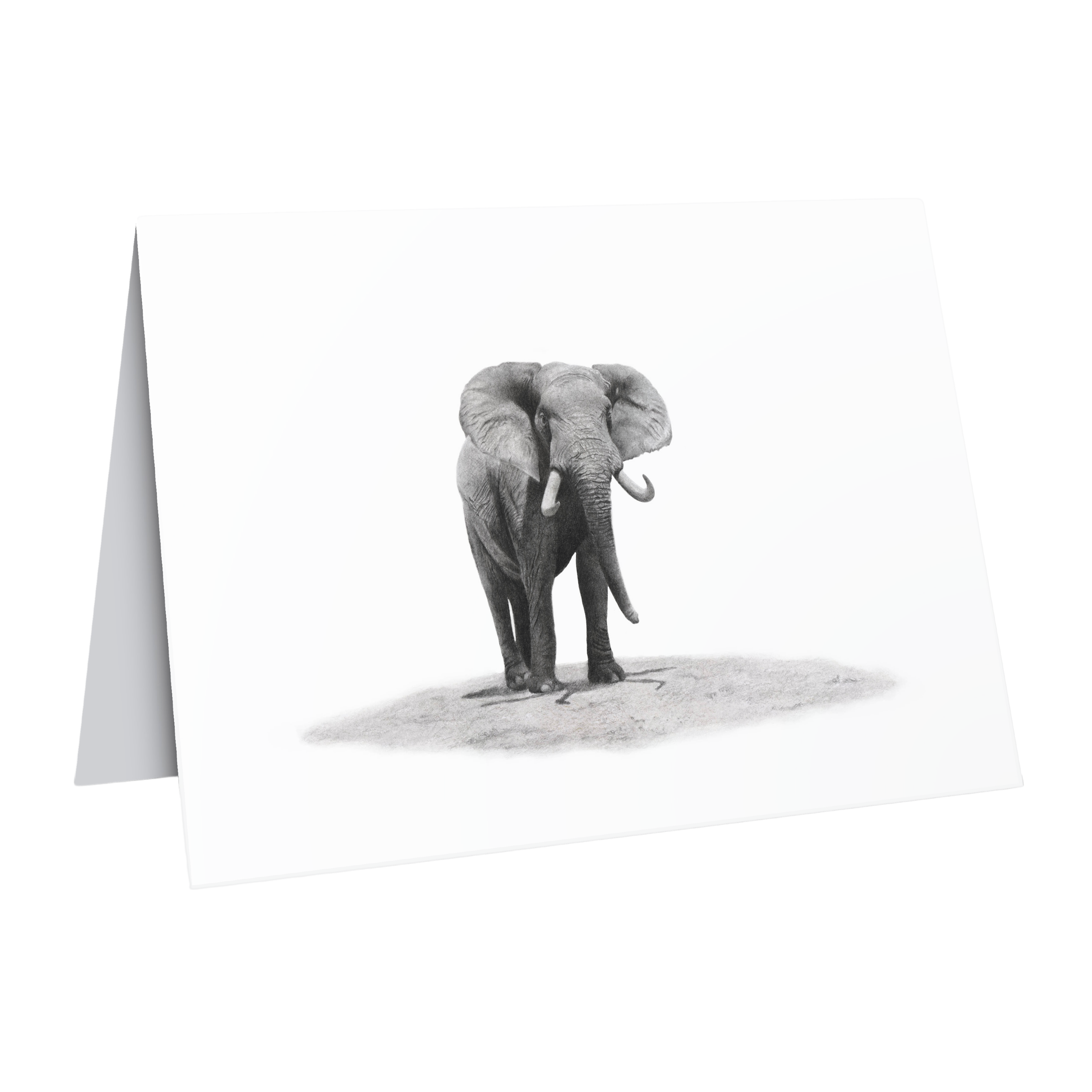 African elephant bull greeting card