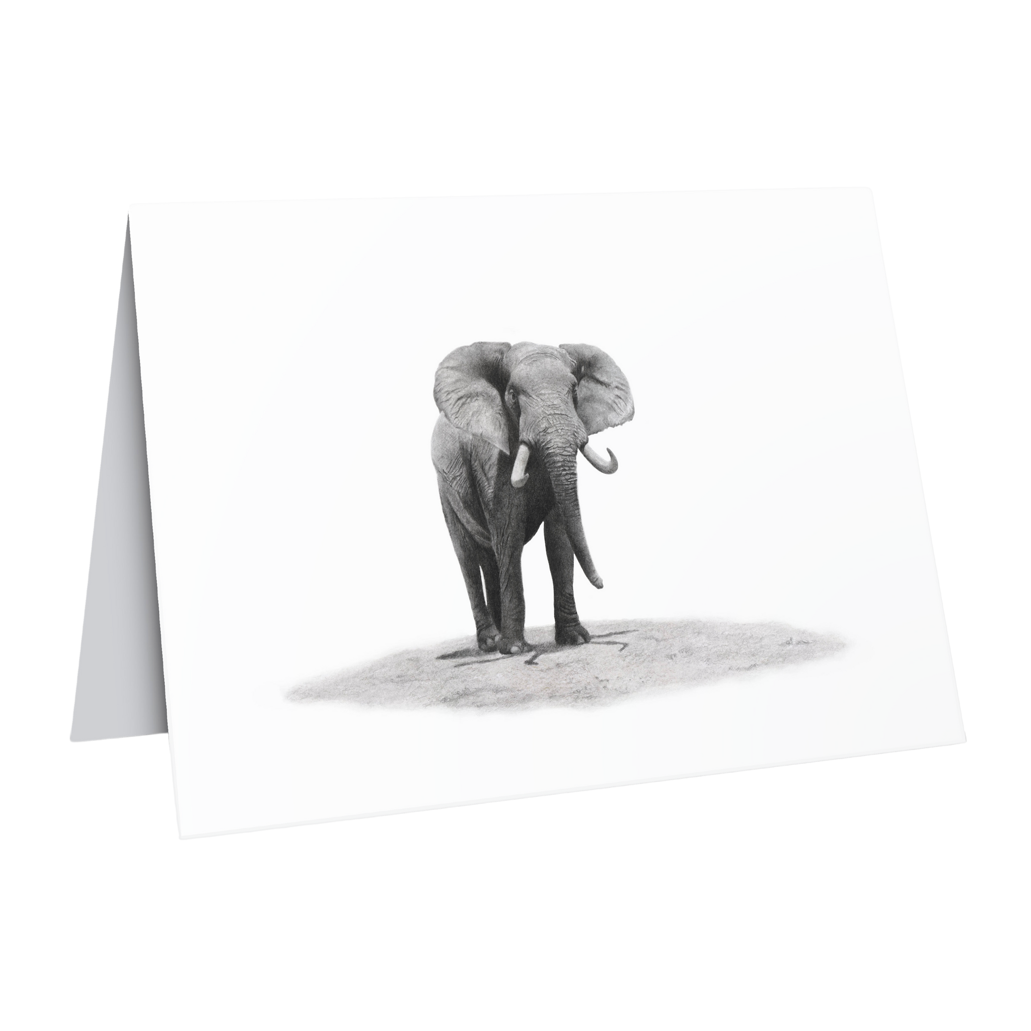 African elephant bull greeting card