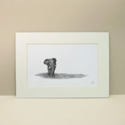 African Elephant bull artwork