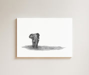 African Elephant drawing on canvas by South African wildlife artist Matthew Bell