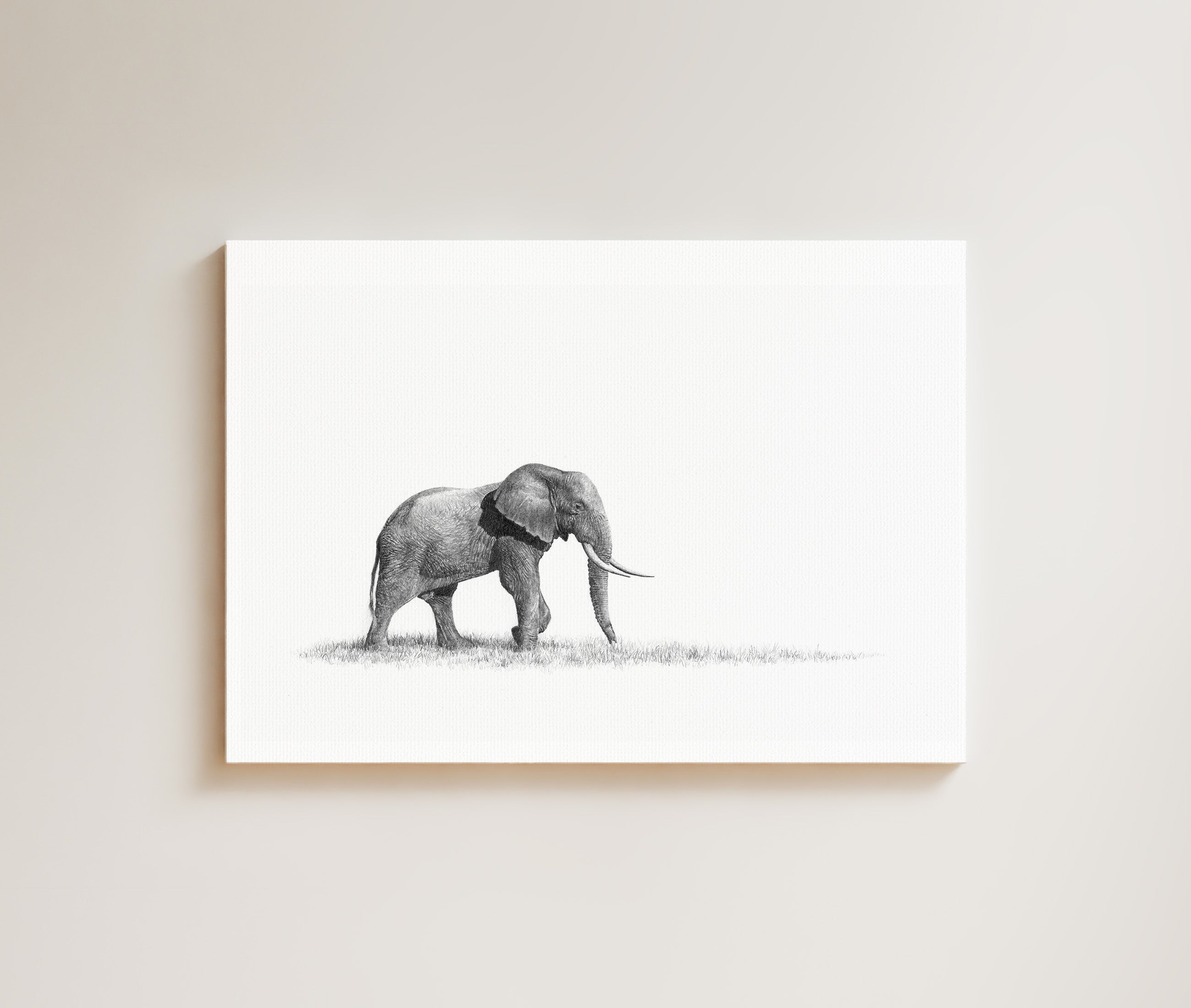 African Elephant drawing on canvas by South African wildlife artist Matthew Bell