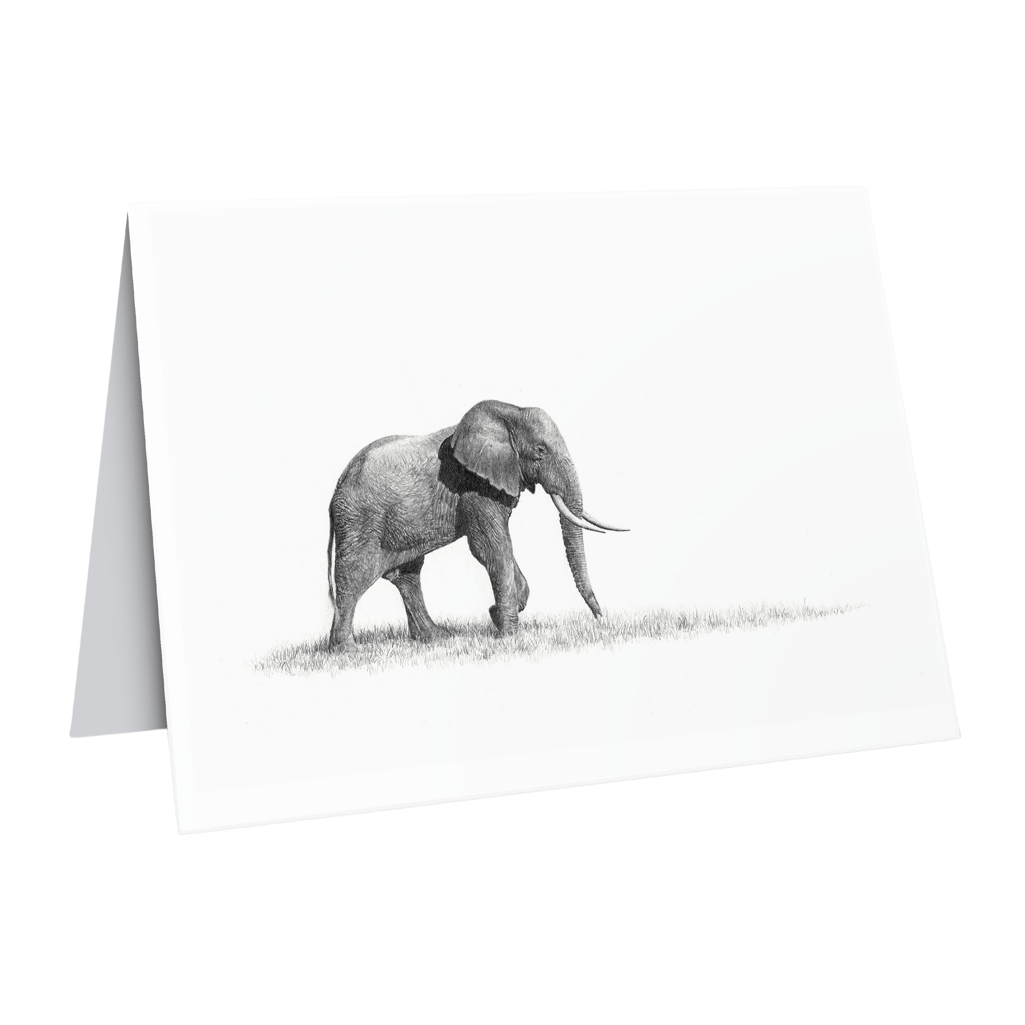 Elephant bull greeting card