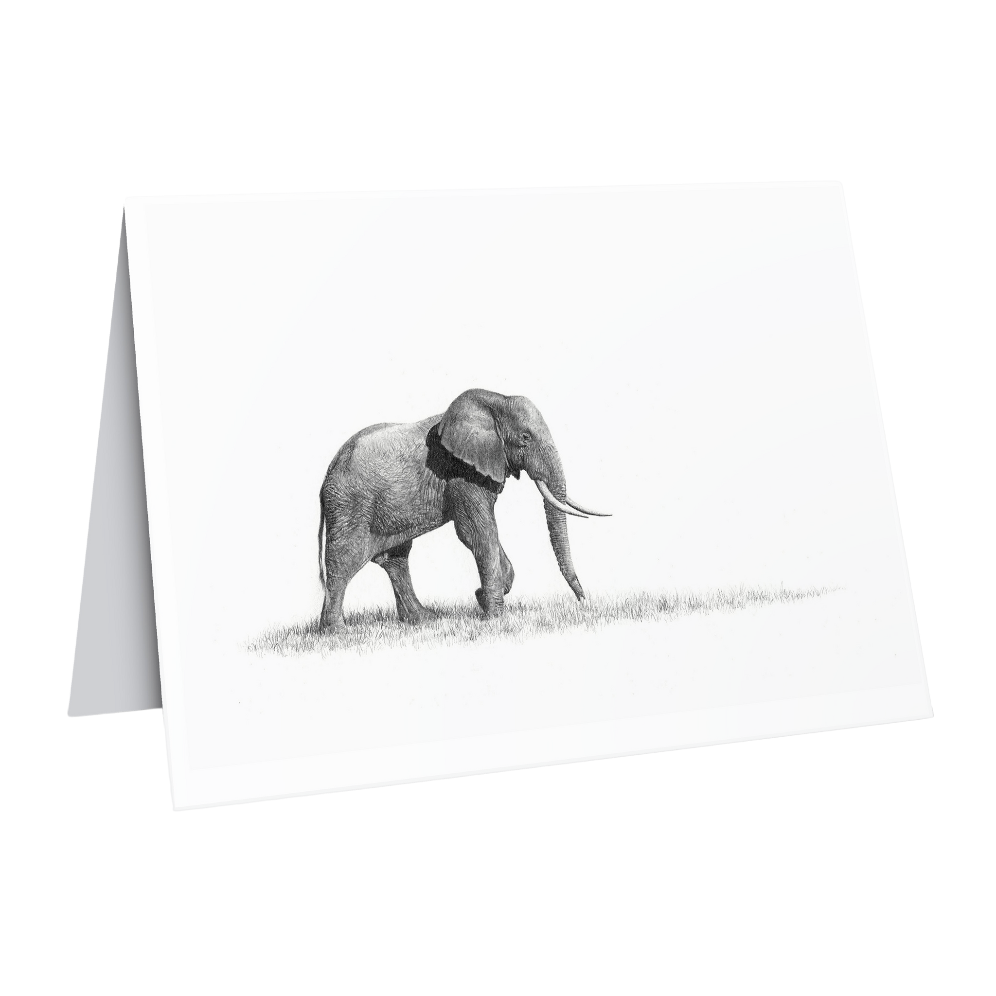 Elephant bull greeting card