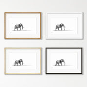 Elephant Bull - E6