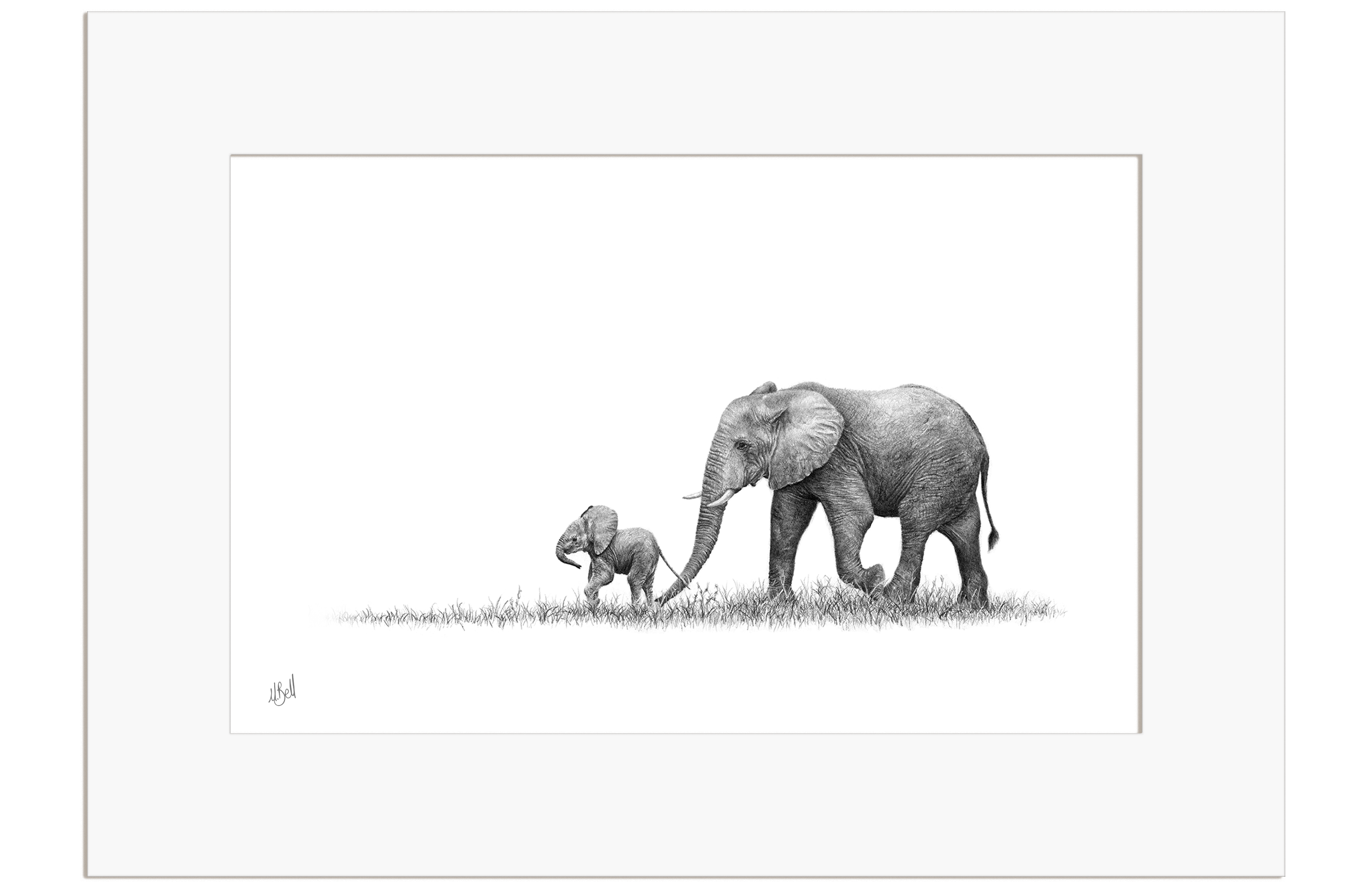 Elephant Mother and Calf - E7