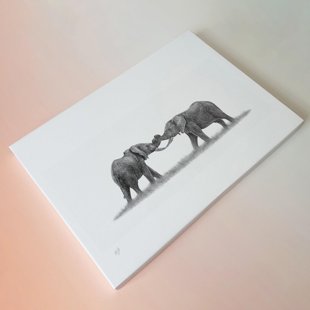 African elephants wildlife art canvas print by Matthew Bell