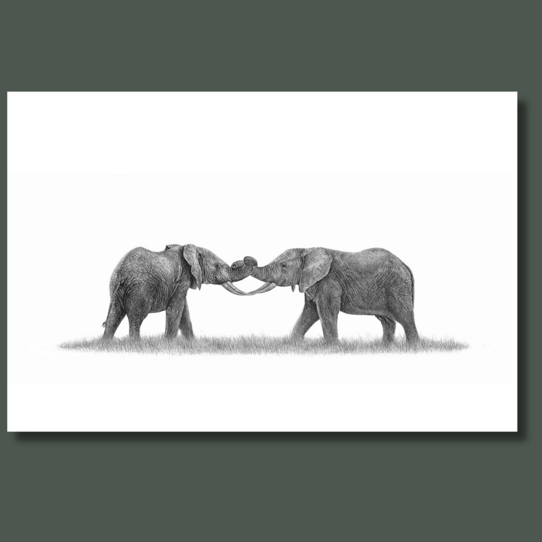 African elephants wildlife art canvas print by Matthew Bell