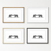 Elephants Playing- E8