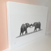 African elephants wildlife art canvas print by Matthew Bell