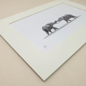 Two African Elephants playing in Botswana artwork