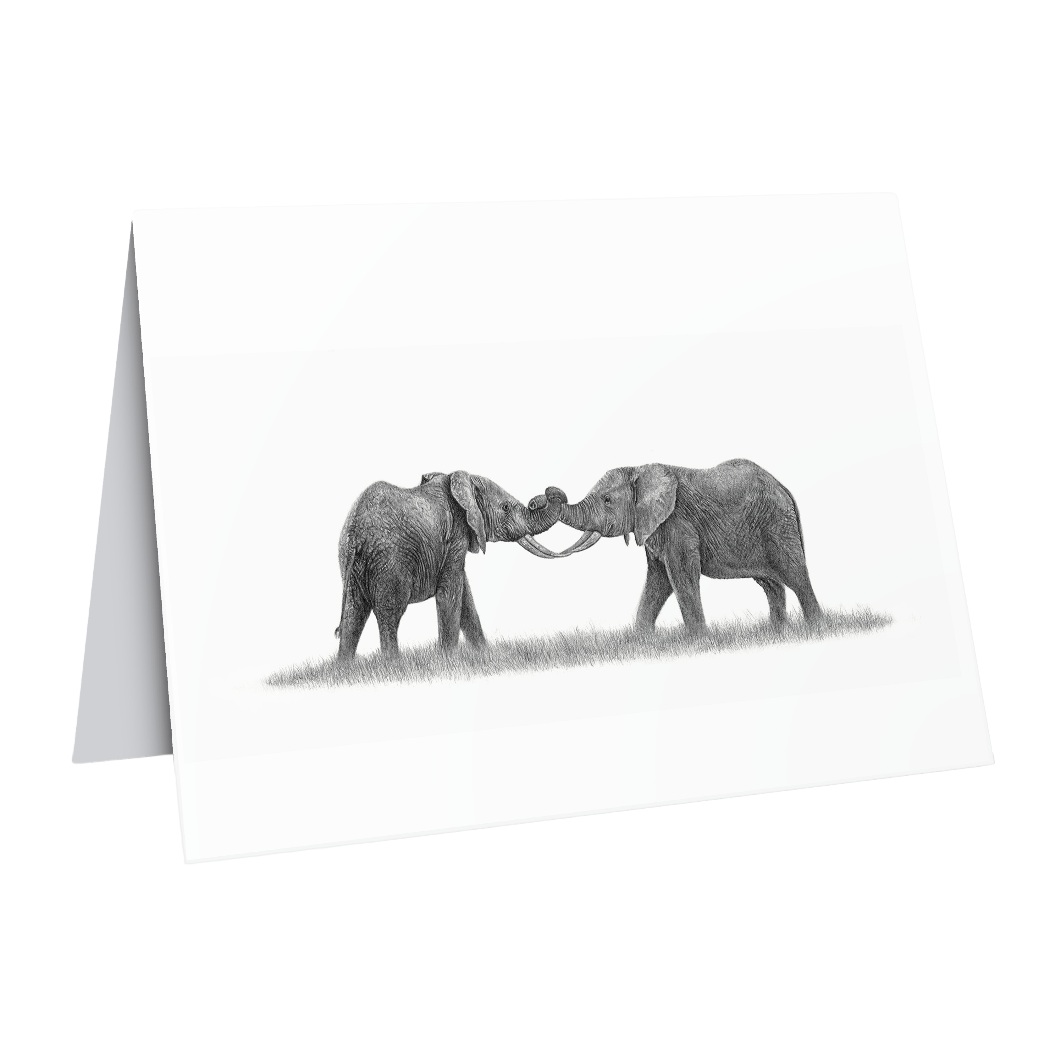 Elephants playing greeting card