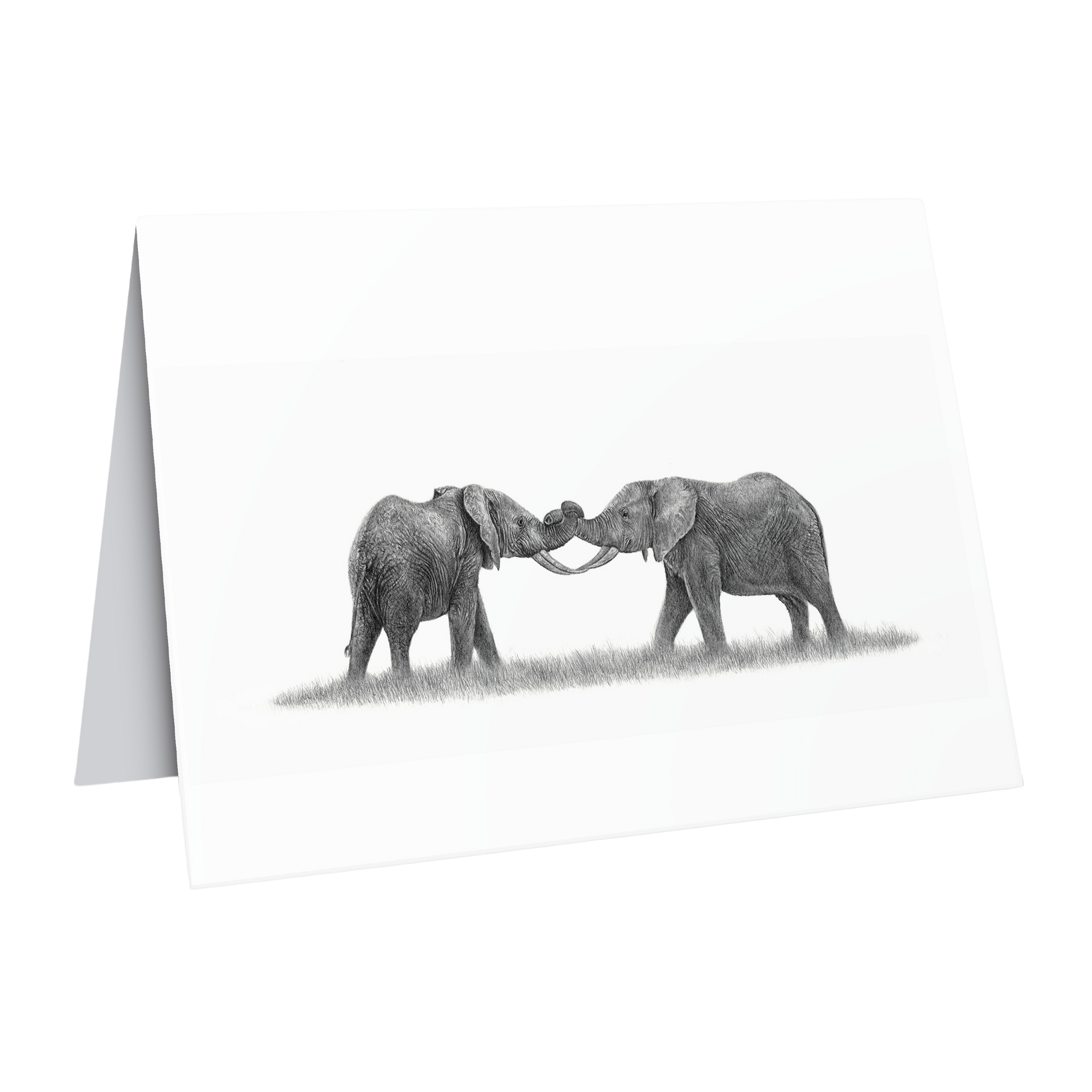 Elephants playing greeting card