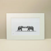 Elephants Playing- E8