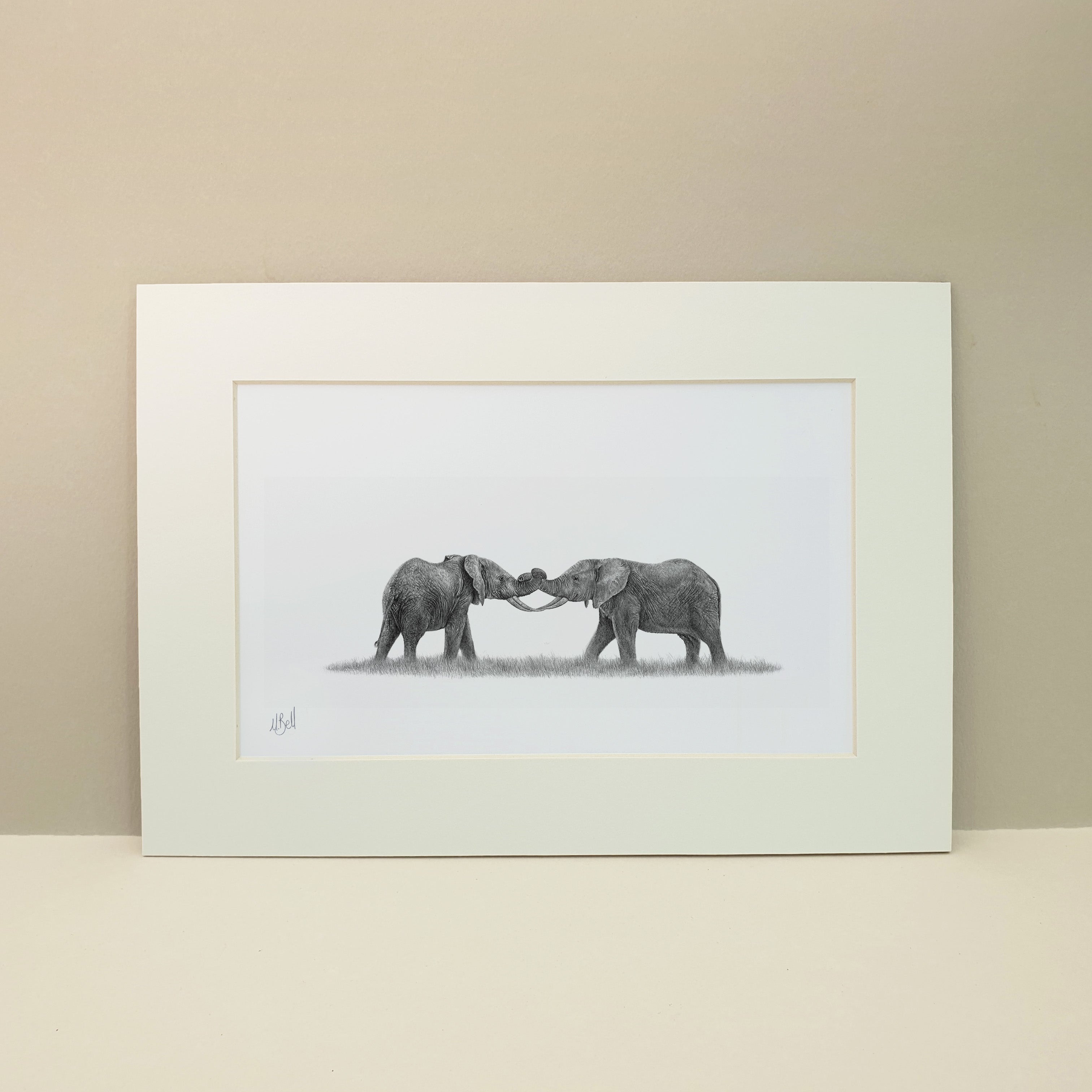 Elephants Playing- E8