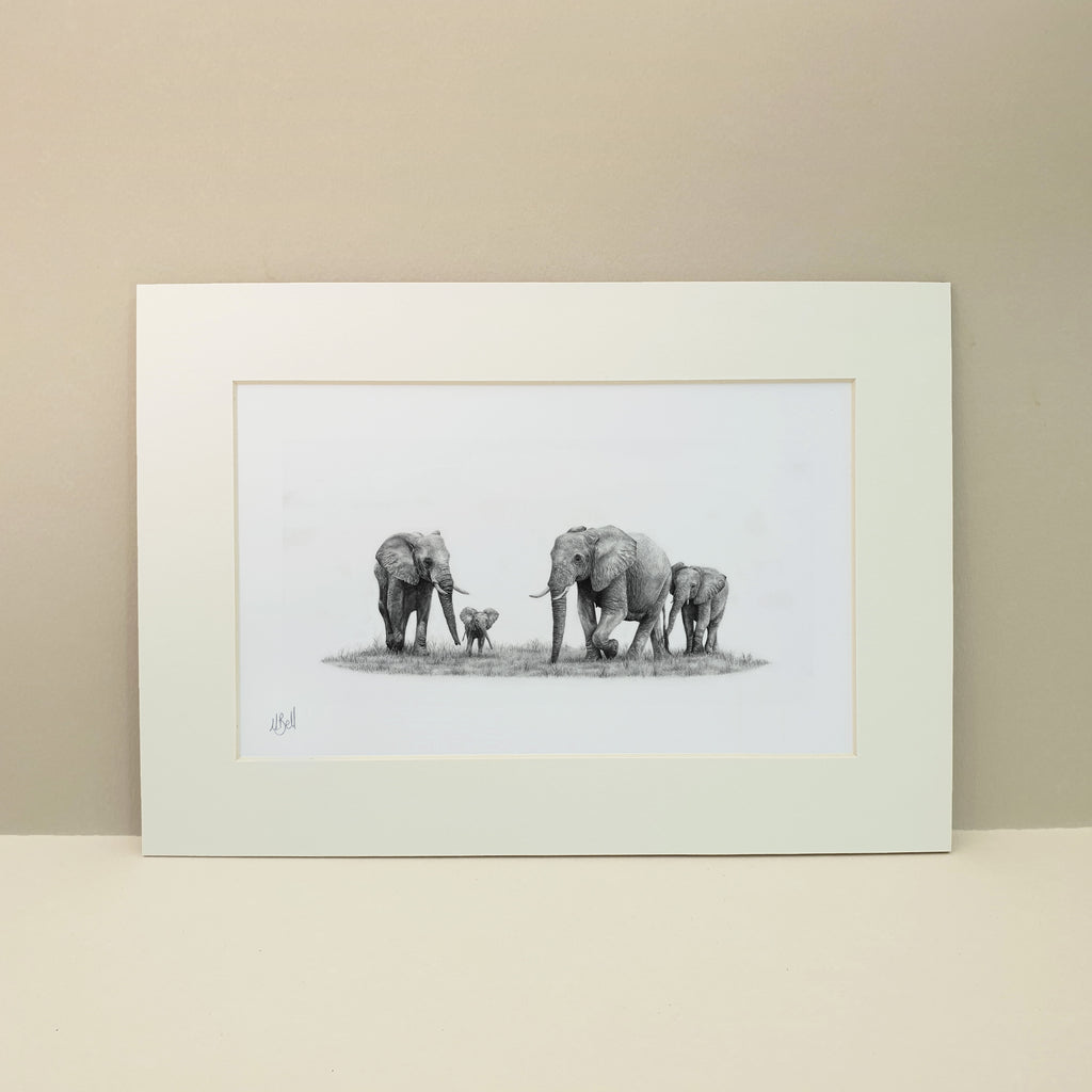 A family of African elephants walking