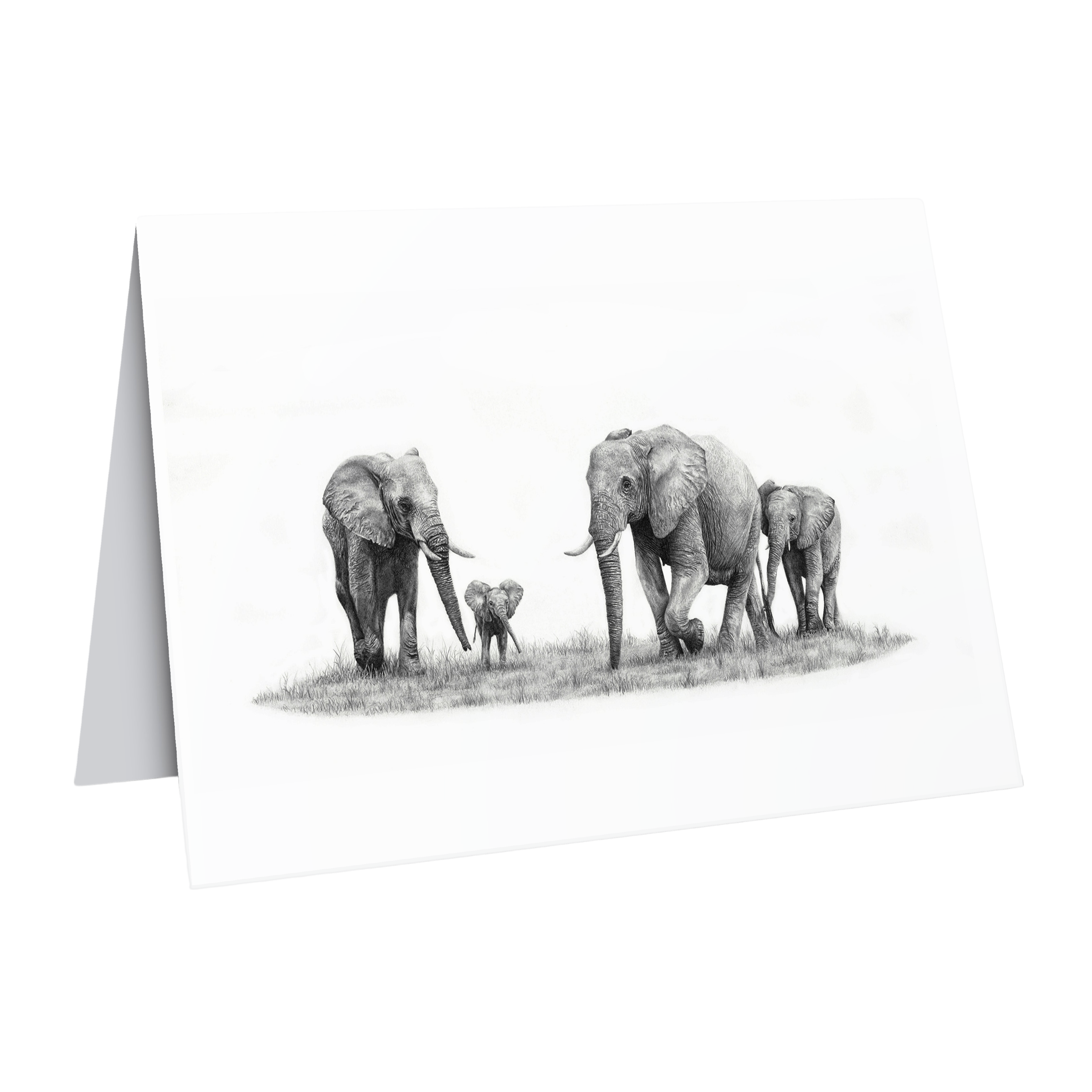 Elephant family greeting card