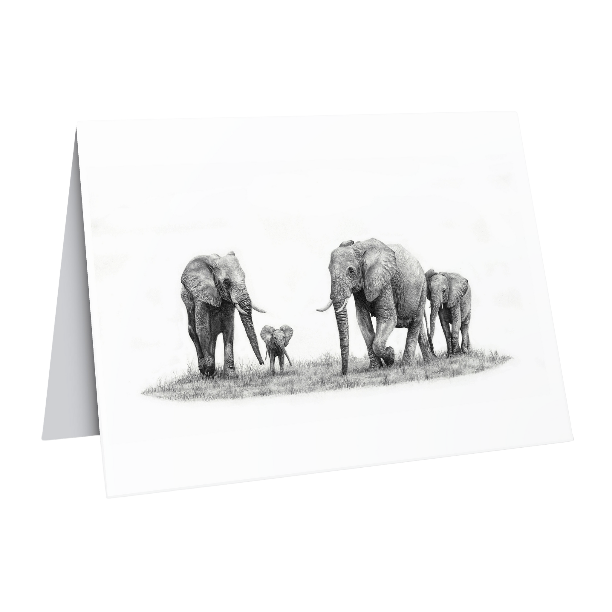 Elephant family greeting card