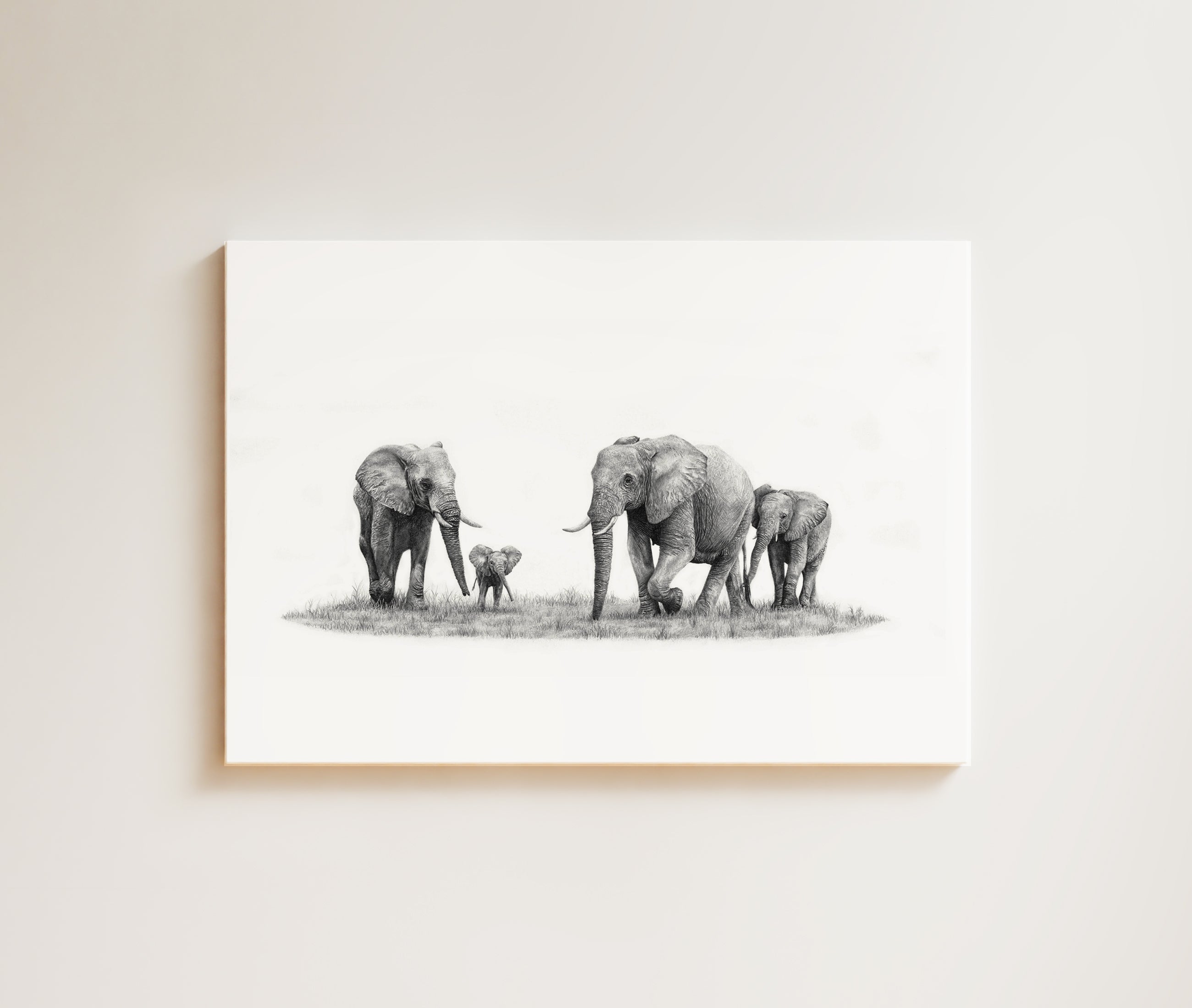 Elephant Family (E9) on Canvas