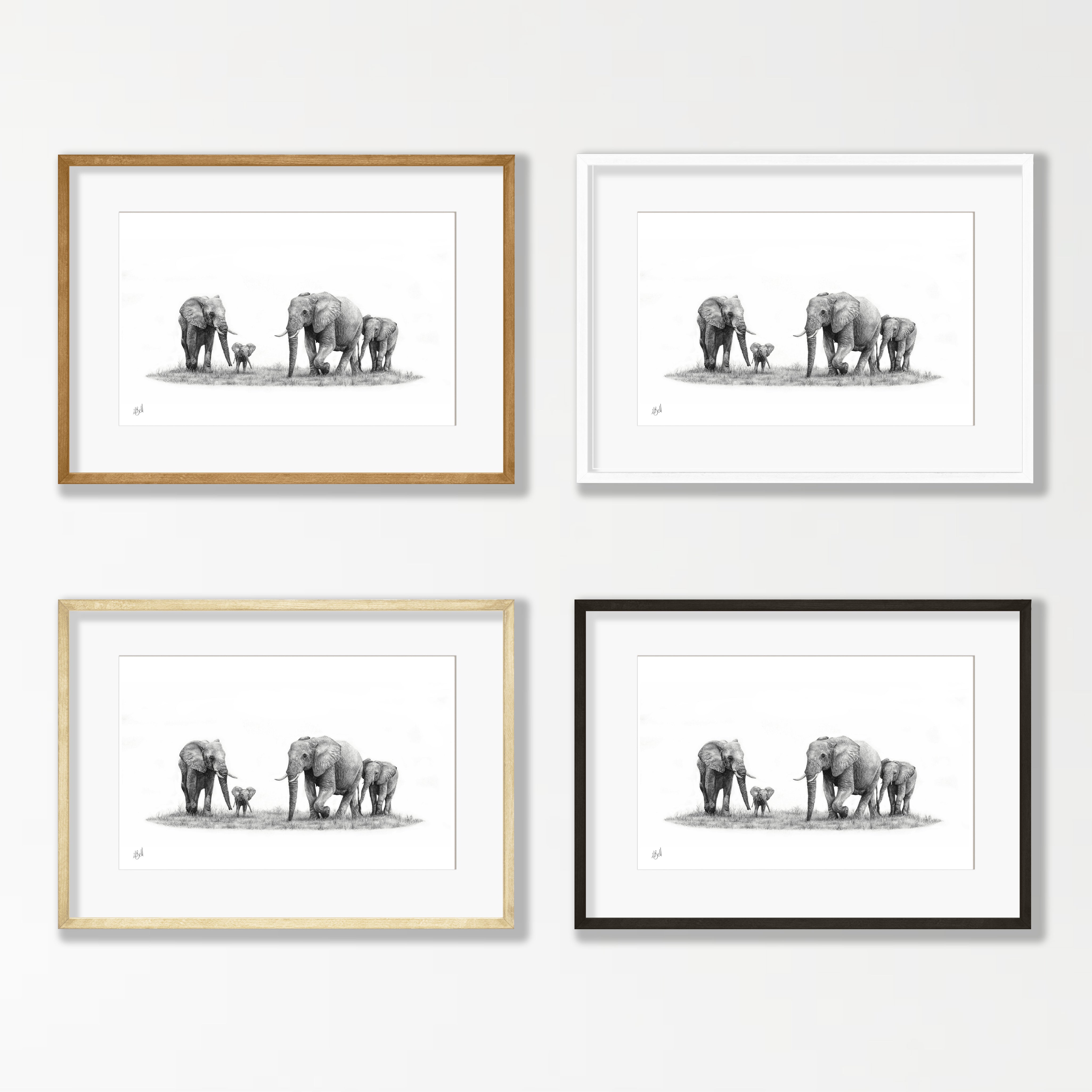 Elephant Family - E9