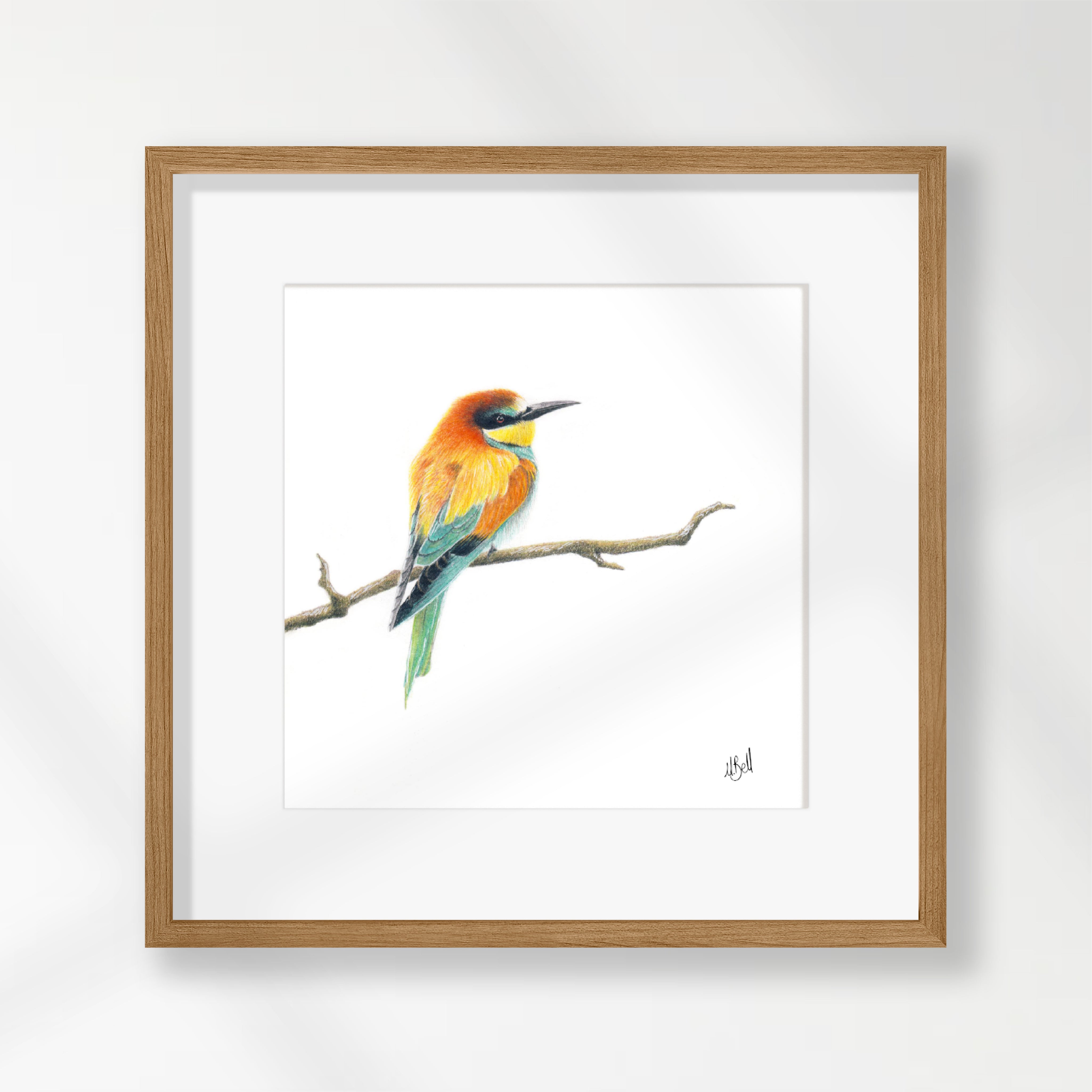 European Bee Eater - EBE1