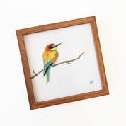 Kiaat wood framed miniature artwork of a European Bee Eater, part of wildlife artist Matthew Bell's birds of South Africa gallery