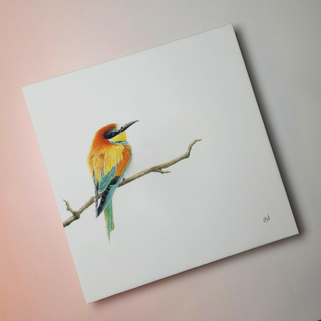 South African bird artwork on canvas, stretched on wooden frame by wildlife artist Matthew Bell of a European Bee Eater