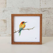 Kiaat wood framed miniature artwork of a European Bee Eater, part of wildlife artist Matthew Bell's birds of South Africa gallery