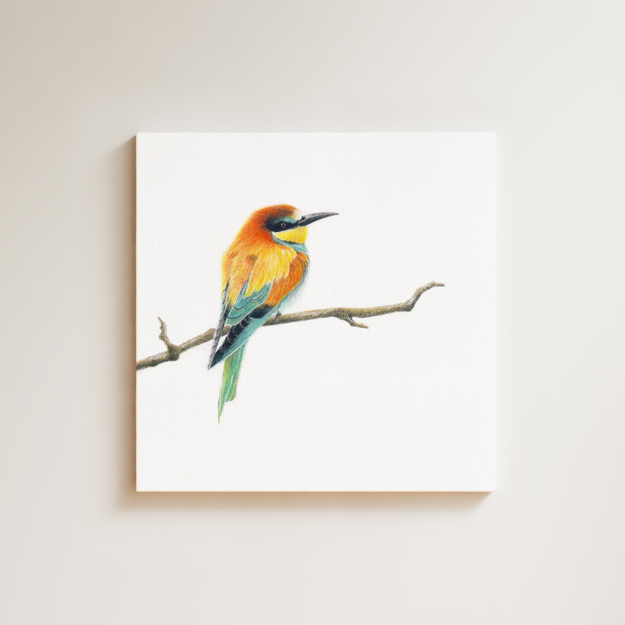 European Bee Eater drawing on canvas by South African wildlife artist Matthew Bell