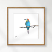 European Bee Eater - EBE2