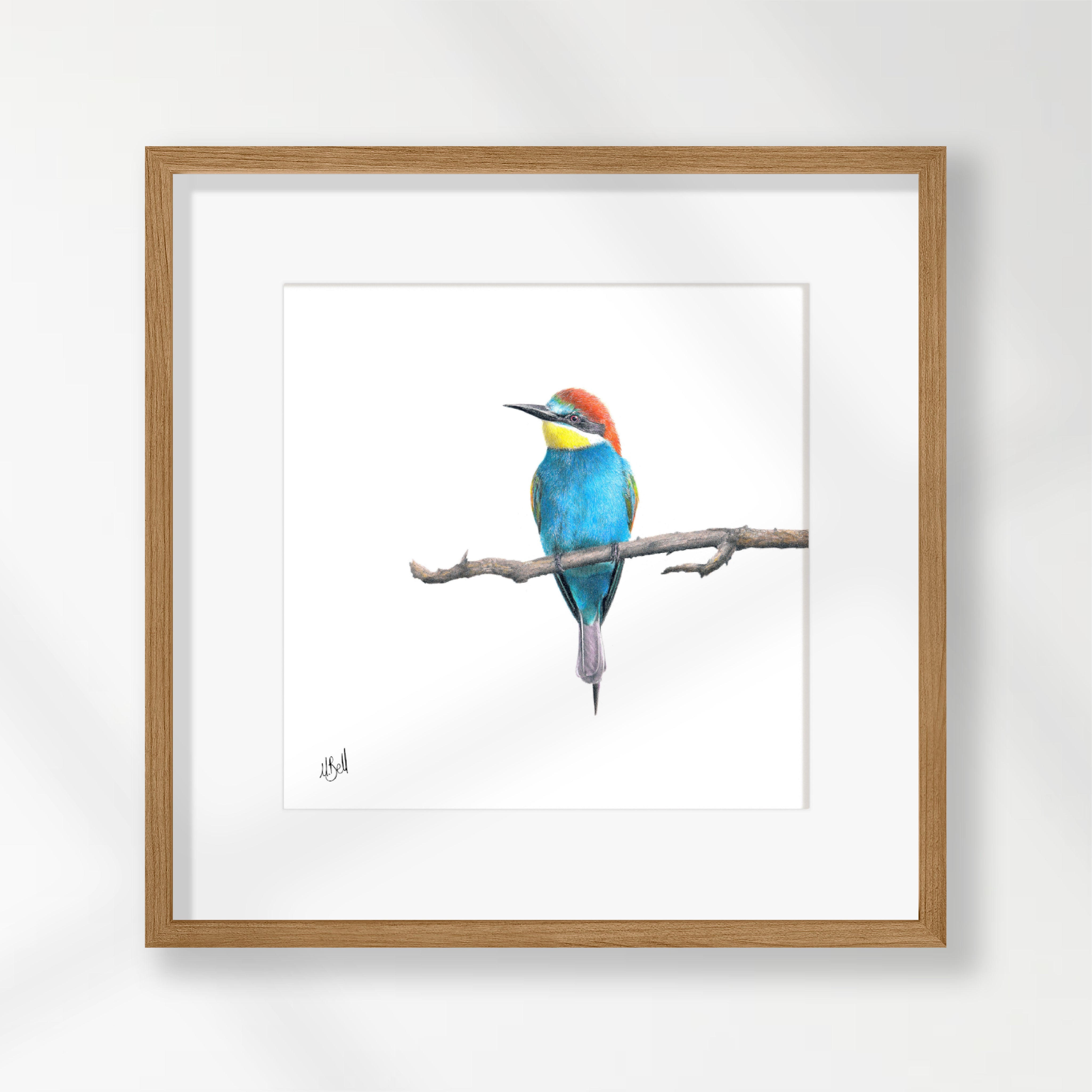 European Bee Eater - EBE2