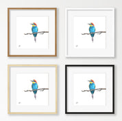 European Bee Eater - EBE2